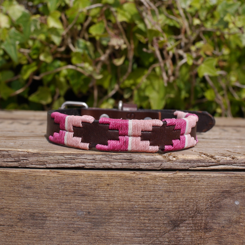 Ginny Polo Dog Collar in a combination of two pinks