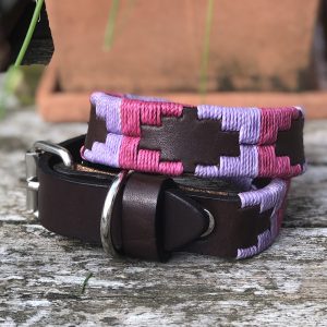 Chatham Pampi Polo Dog Collar