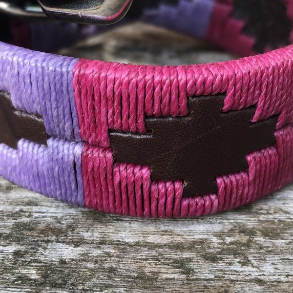 Chatham Polo Dog Collar - a wonderful combination of Mulberry and Cranberry.
