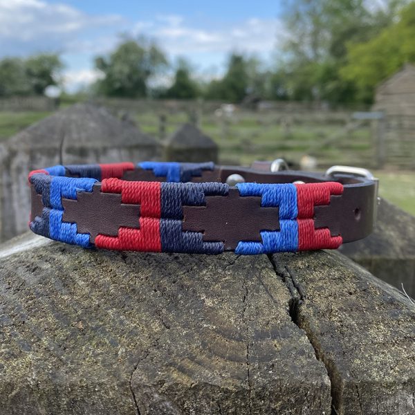 St James Argentinian Pampi Polo Dog Collar in two blues and a red