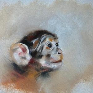 Macaque by Julie Brunn
