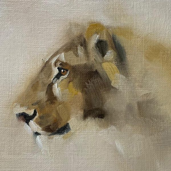 Lioness by Julie Brunn